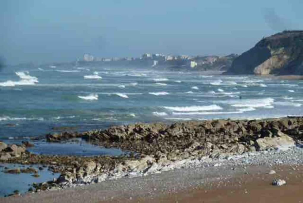 Bidart Cote Basque T3 250 Metres De La Plage 3*** Apartamento Exterior foto